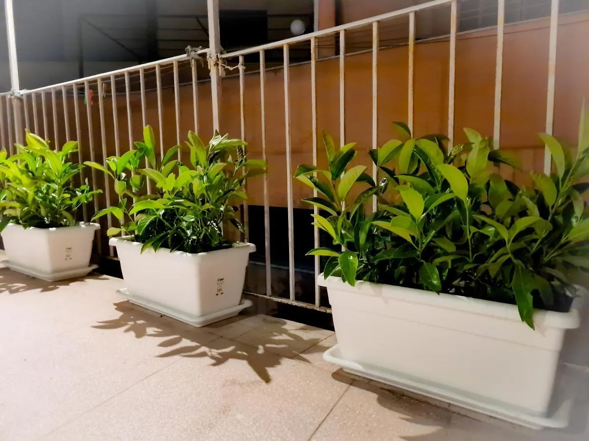 Holiday home Alina Guest House Palermo