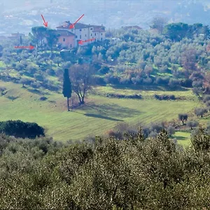 A Casa Della Nonna Casa vacanze Seano